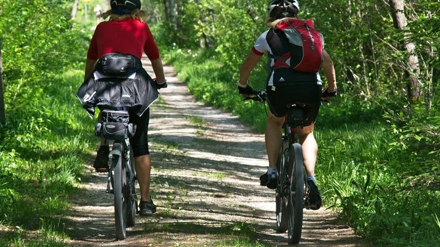 Fahrradfahren in der Natur Zwei Radfahrer auf einem Waldweg umgeben von grüner Vegetation und Bäumen, aktiv im Freien.