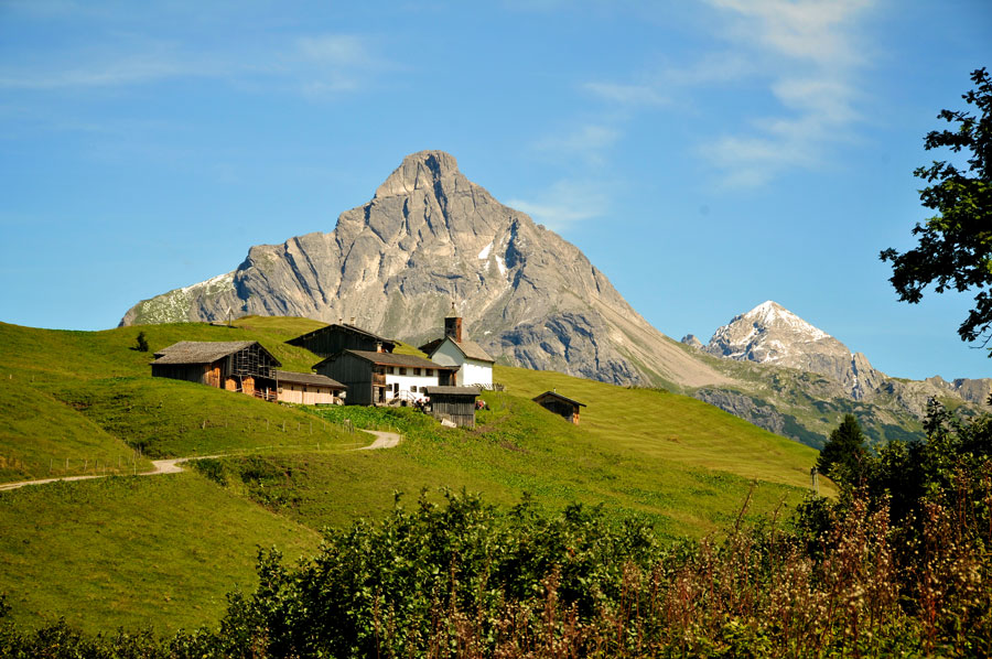 Gansl zur Martinizeit im Hotel Tannbergerhof genießen Almhütten auf einer grünen Wiese mit markanter Vorarlberger Bergkulisse im Hintergrund