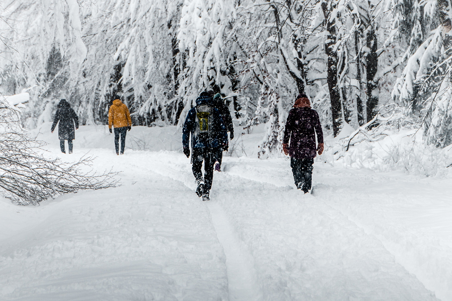 Winterwanderungen in und um Lech Gruppe wandert durch einen verschneiten Wald